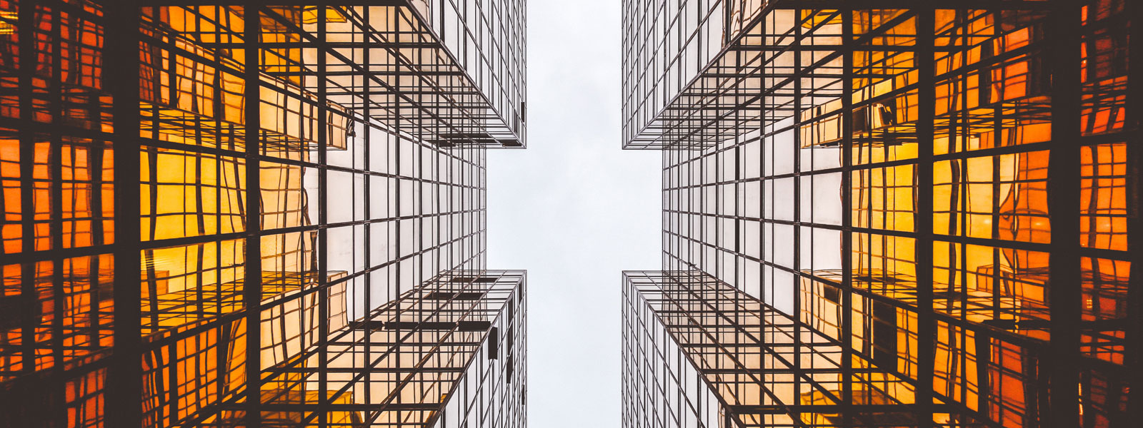 Junior Oil Trader M/F